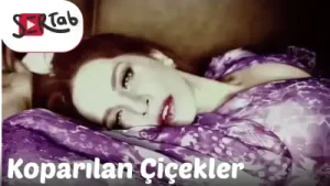 Sertab Erener Koparılan Çiçekler Albüm Kapağı