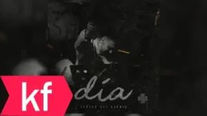 Server Sağdıç Dia Albüm Kapağı