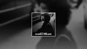 Servet Tunç Kanlı Felek Cover Mix Tiktok Albüm Kapağı