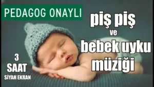 Sesli Bebek Ninnileri Albüm Kapağı