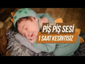Sevda Şengüler – 1 Saat Pış Pış Sesi Bebek Ninnisi