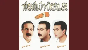 Sever Sen Ali’yi Albüm Kapağı