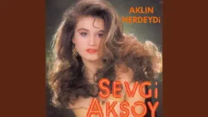 Sevgi Aksoy Deli Ettin Albüm Kapağı