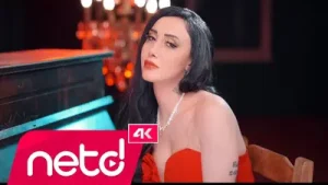 Sevilay Ertürk Gürkan Çapkın Nerden Bileyim Albüm Kapağı