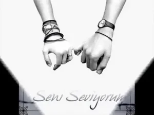 Sevilmeden Sevmek Varya O Daha Beter