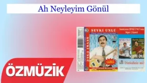 Şevki Ünlü – Ah Neyleyim Gönül
