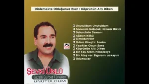 Şevki Ünlü Köprünün Altı Diken Albüm Kapağı