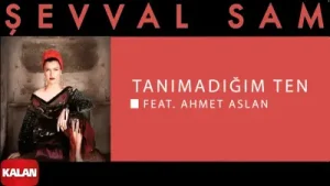 Şevval Sam Tanımadığım Ten Albüm Kapağı