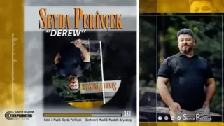 Şeyda Perinçek