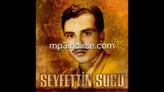 Seyfettin Sucu Bu Ne Sevgi Ah