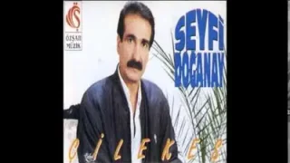 Seyfi Doğanay Arada Bir