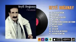 Seyfi Doğanay Bir Şişe Şarap Albüm Kapağı