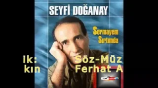 Seyfi Doğanay Çarşamba Beyleri