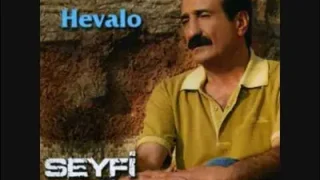 Seyfi Doğanay Kimsesiz Bıraktın