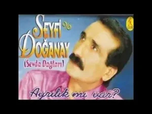 Seyfi Doğanay Ne Kadar Ağladım Albüm Kapağı