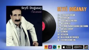 Seyfi Doğanay Saçımın Akına Bakmayın Albüm Kapağı
