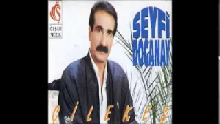 Seyfi Doğanay Sende Unut