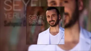 Seyfi Yerlikaya – Diyarbakır Surları