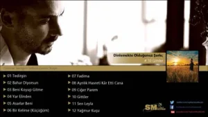 Seyfi Yerlikaya Gittiler Albüm Kapağı