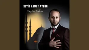 Seyit Ahmet Aygün Gelmedin Annem Albüm Kapağı