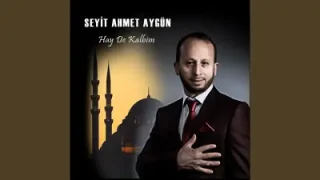 Seyit Ahmet Aygün Gelmedin Annem
