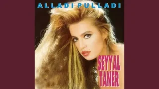 Seyyal Taner Hata