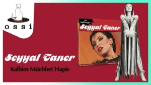Seyyal Taner Kalbim Müebbet Hapis Albüm Kapağı