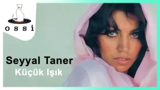 Seyyal Taner Küçük Işık