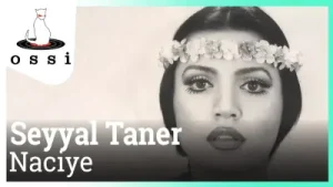 Seyyal Taner Naciye Albüm Kapağı