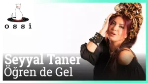 Seyyal Taner Öğren De Gel Versiyon