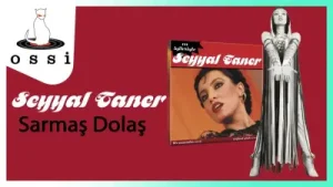 Seyyal Taner Sarmaş Dolaş Albüm Kapağı