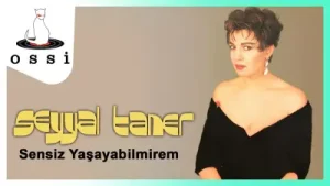 Seyyal Taner Sensiz Yaşayabilmirem Albüm Kapağı