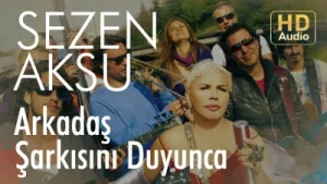 Sezen Aksu Arkadaş Şarkısını Duyunca Albüm Kapağı