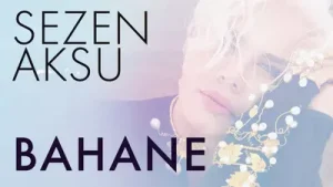 Sezen Aksu Bahane Albüm Kapağı