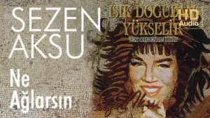 Sezen Aksu Bu Da Gelir Bu Da Geçer Ağlama Albüm Kapağı