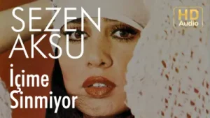 Sezen Aksu İçime Sinmiyor Albüm Kapağı