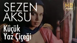 Sezen Aksu Küçük Yaz Çiçeği