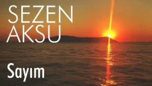 Sezen Aksu – Sayım Albüm Kapağı