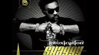 Shaggy Mad Mad World Remix