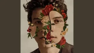 Shawn Mendes – Because I Had You