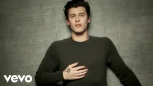 Shawn Mendes In My Blood Albüm Kapağı