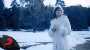 Sibel Can Adını Dağlara Yazdım Yarim Albüm Kapağı