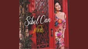 Sibel Can Unuttu Unuttu Albüm Kapağı