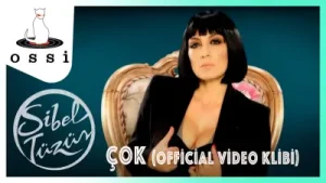 Sibel Tüzün Çok