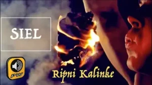 Siel Ripni Kalinke Albüm Kapağı