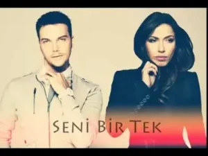 Sinan Akçıl Ft. Burcu Güneş Seni Bir Tek 2014 Yen Albümü Albüm Kapağı