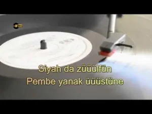 Sinan Özen – Alıverin Bağlamamı Çalayım (Karaoke) Albüm Kapağı