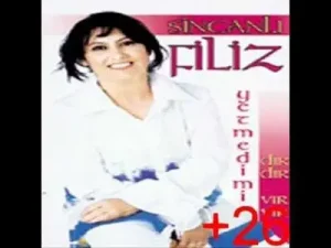 Sincanlı Filiz Kaynana Albüm Kapağı
