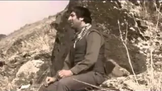 Sipan Xelat Solin