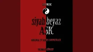 Siyah Beyaz Aşk Jenerik Slow Albüm Kapağı